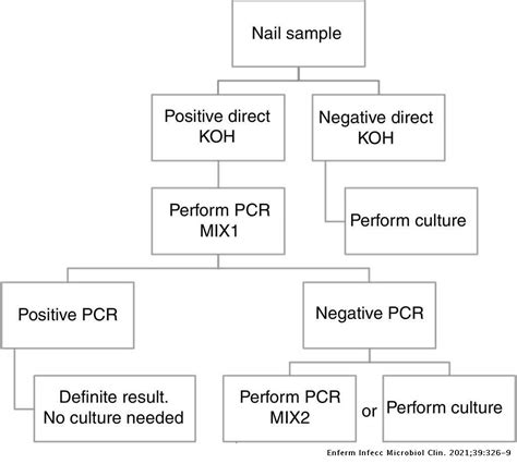 EMs PCr Narrative Template Implementation Workflow